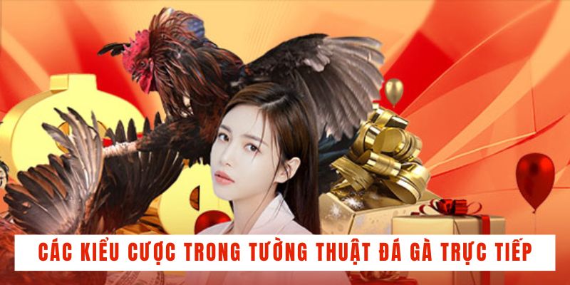 Các kiểu cược hấp dẫn trong tường thuật đá gà trực tiếp