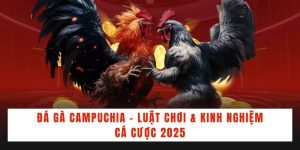 Đá Gà Campuchia - Luật Chơi & Kinh Nghiệm Cá Cược 2025