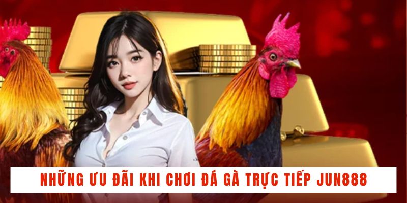 Những ưu đãi cực hấp dẫn khi chơi đá gà trực tiếp tại Jun888